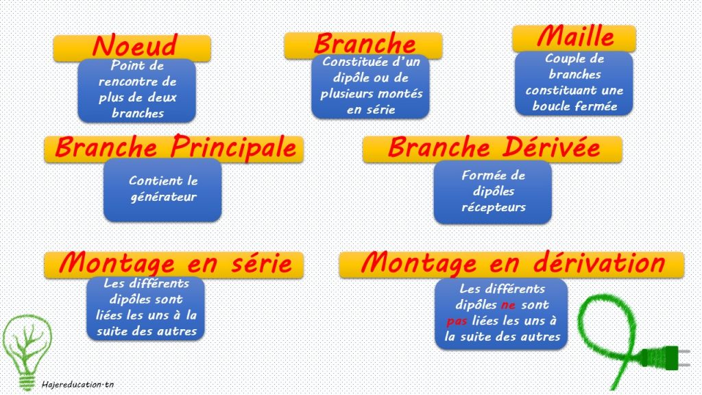 noeud branche maille