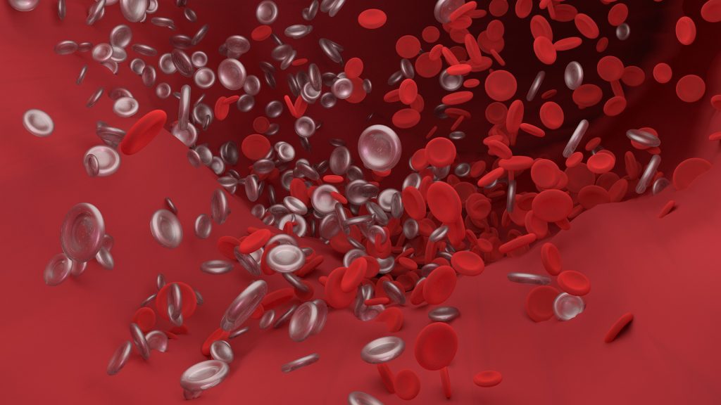 الفرق بين خلايا الدم البيضاء و خلايا الدم الحمراء 